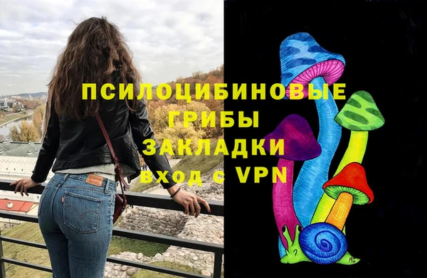 дживик Армянск