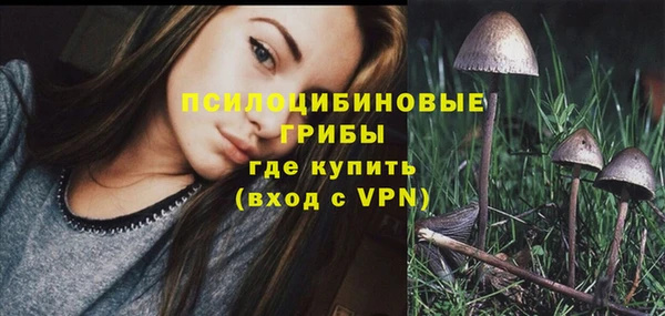 марки nbome Аркадак