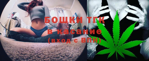 дмт Алексин